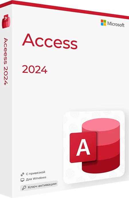 Microsoft Access 2024