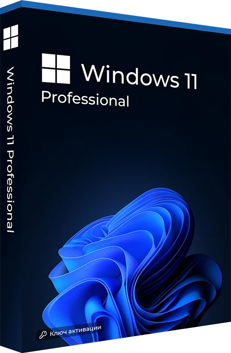 Microsoft Windows 11 Professional